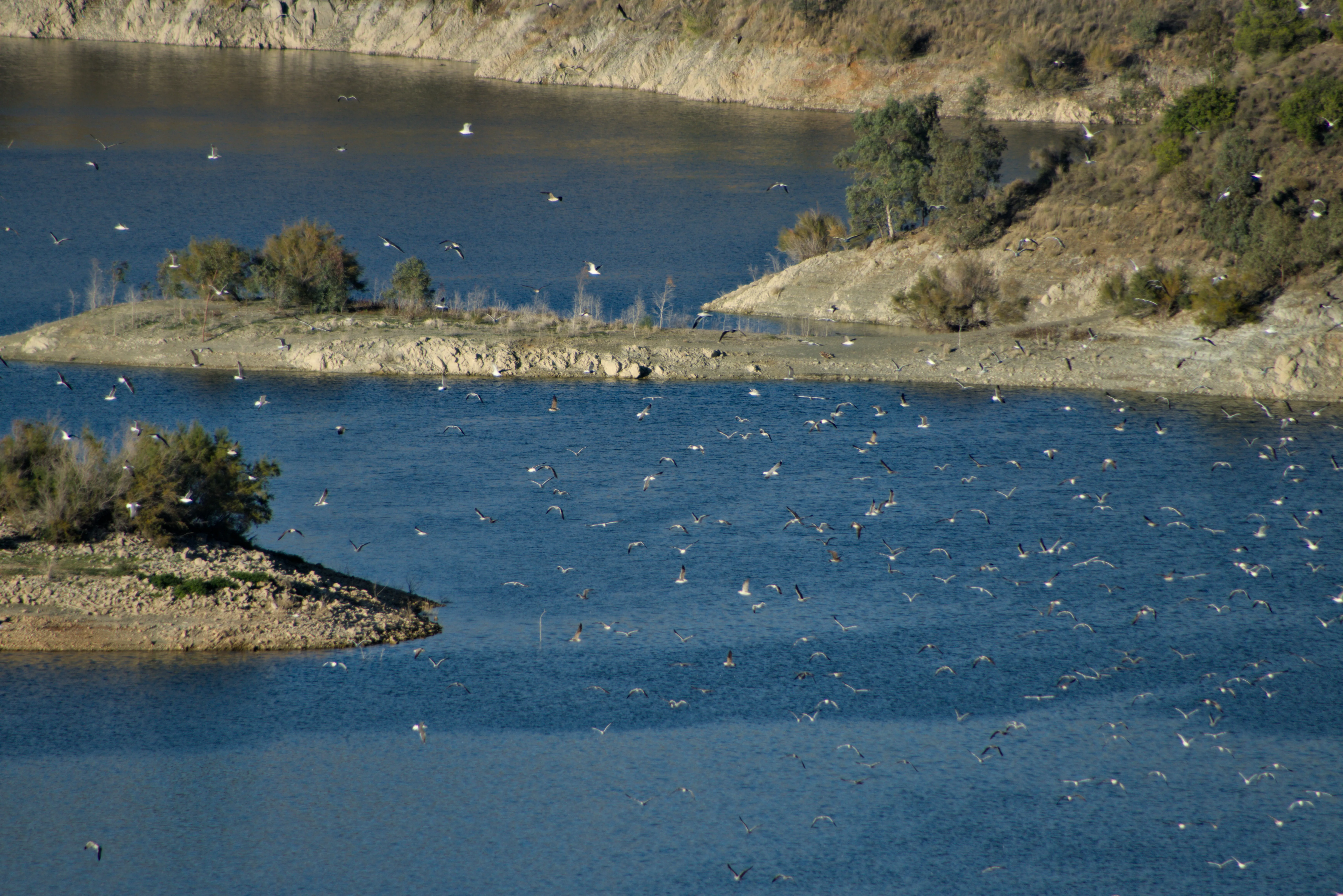 Tamron 28-300mm F3.5-6.3 (EF) - _I4A6021.webp